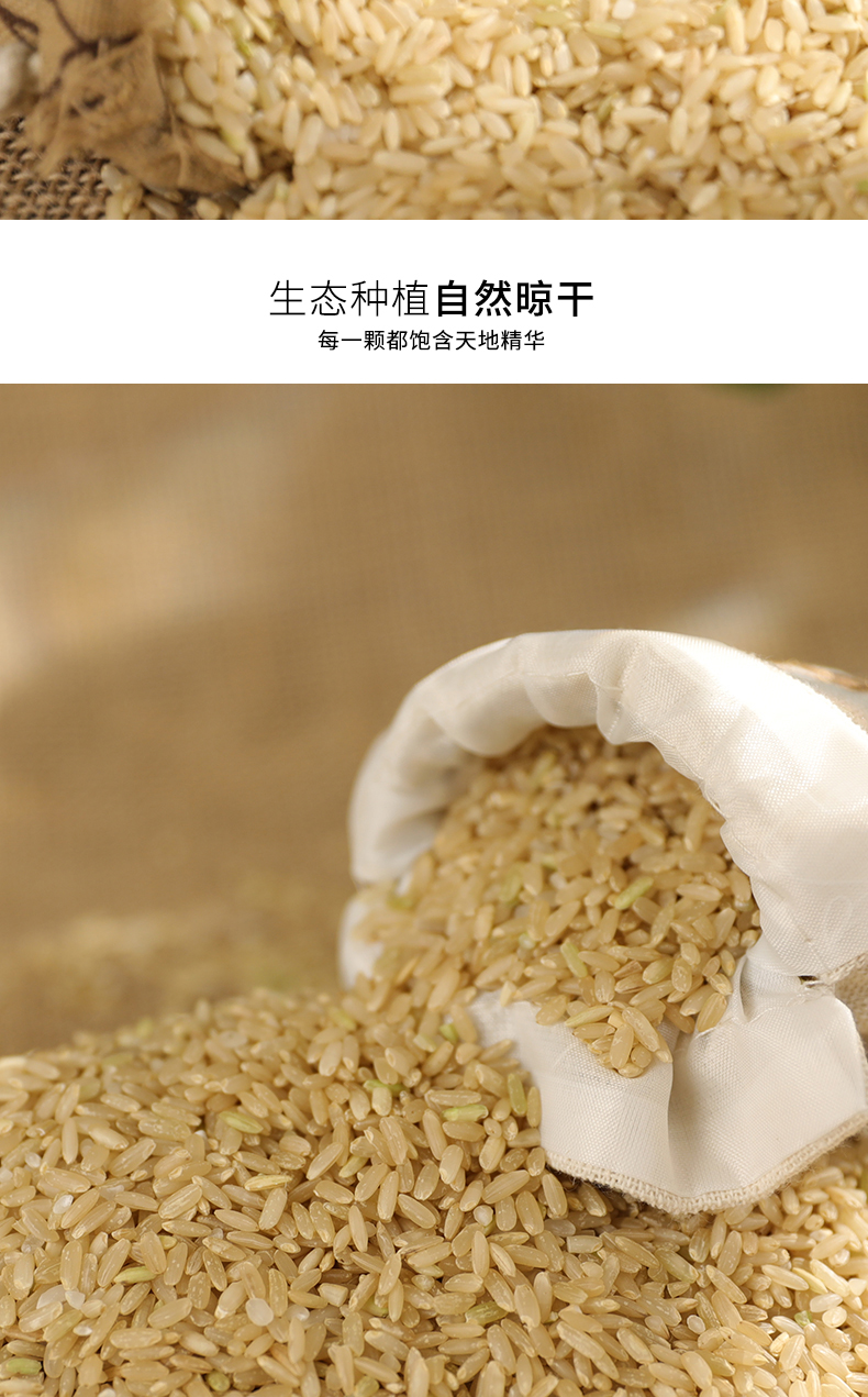 青田稻鱼米糙米450g(图2)