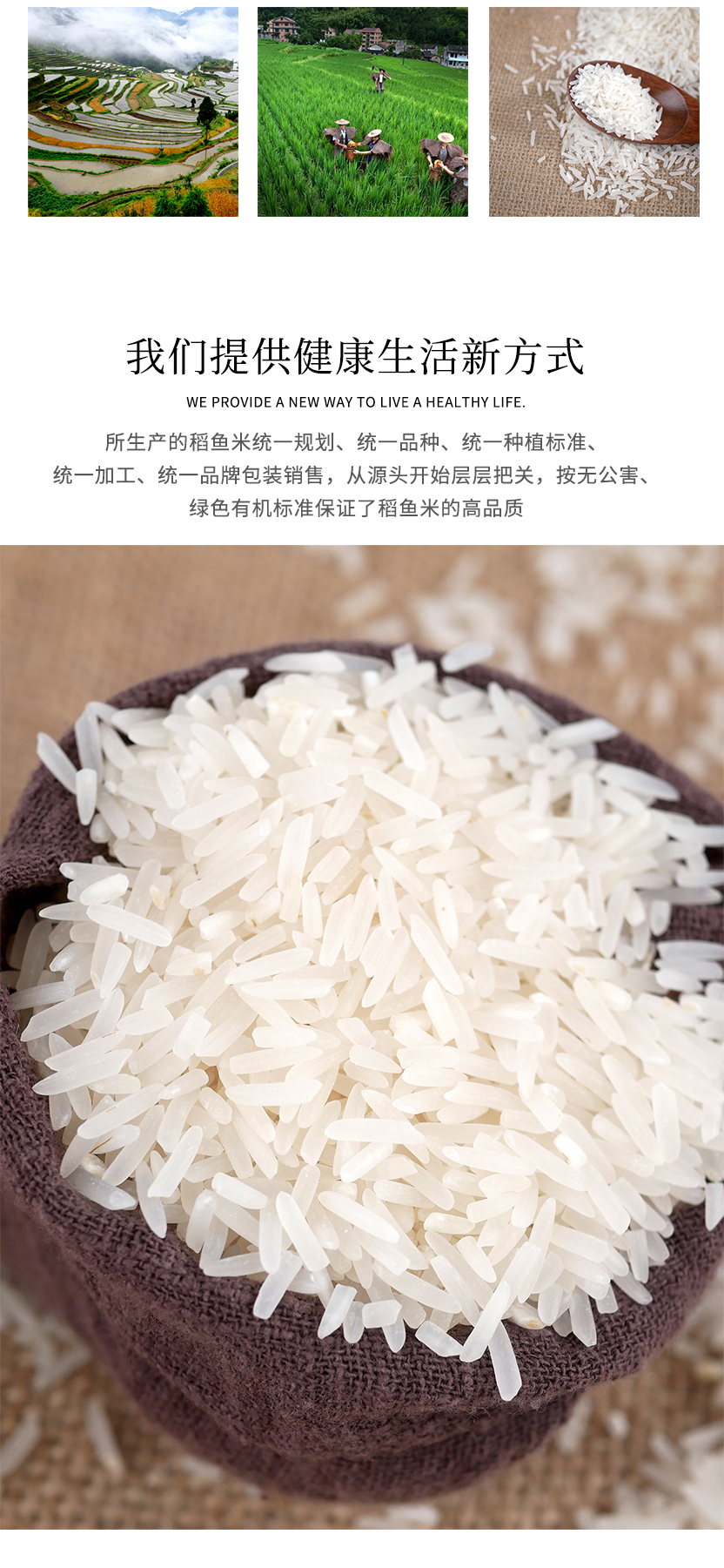 青田稻鱼米丝苗米2.5kg(图2)