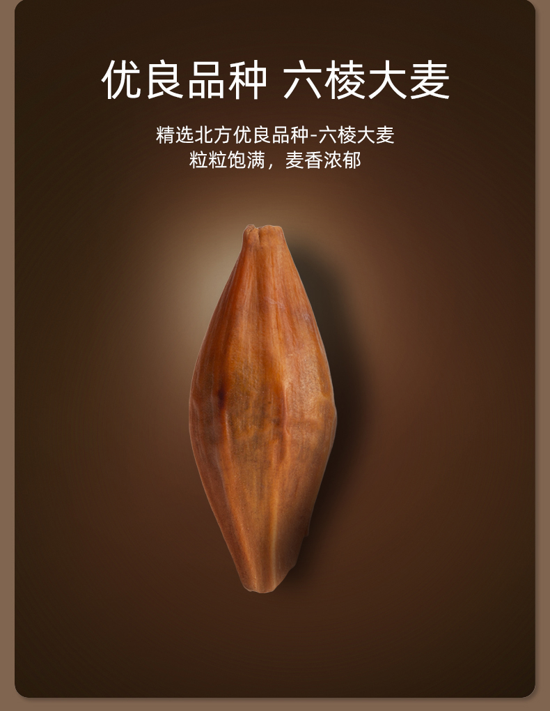 艺福堂麦博士大麦茶600g(图3)