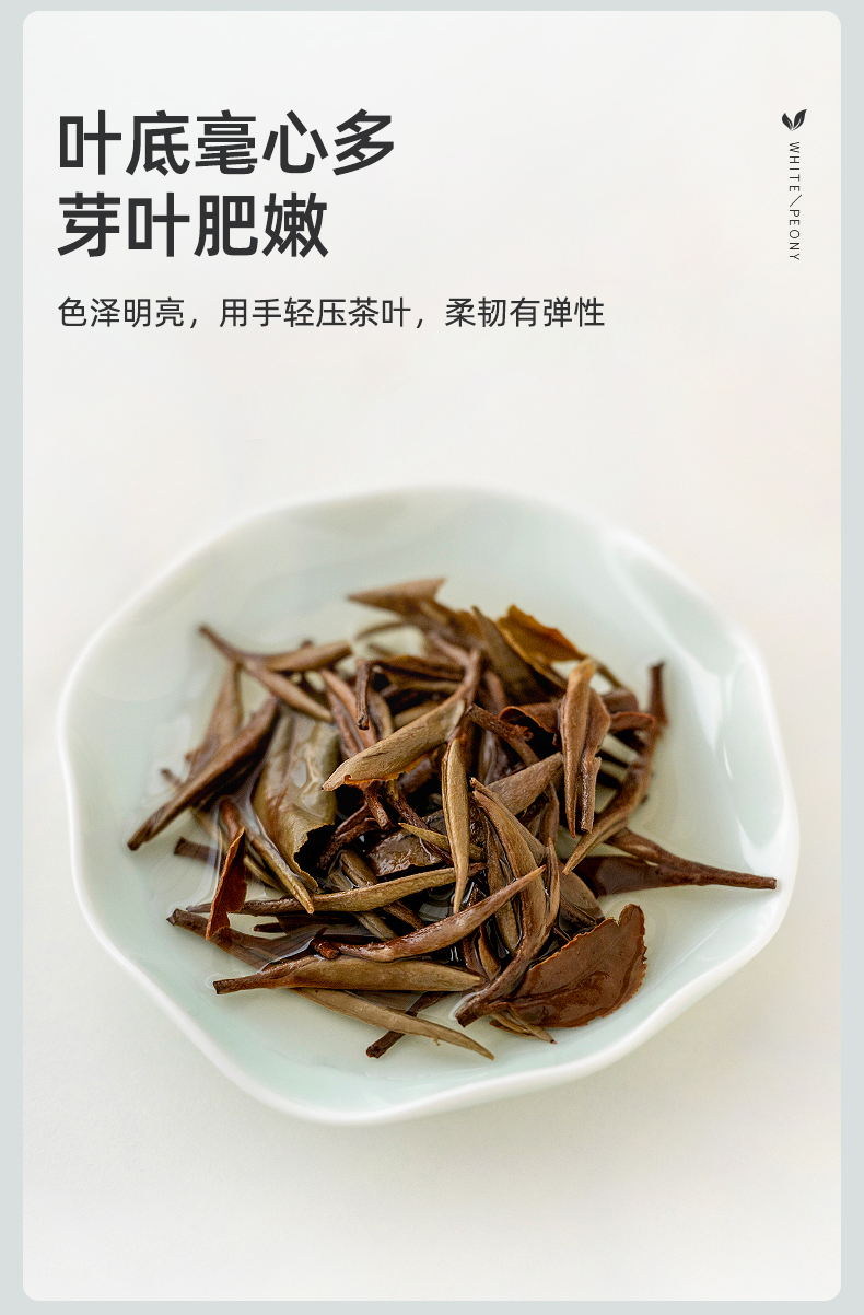 艺福堂白牡丹茶100g(图14)