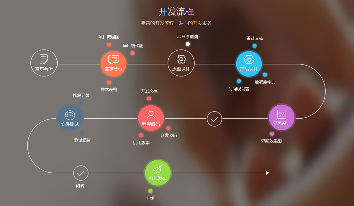 定制软件开发